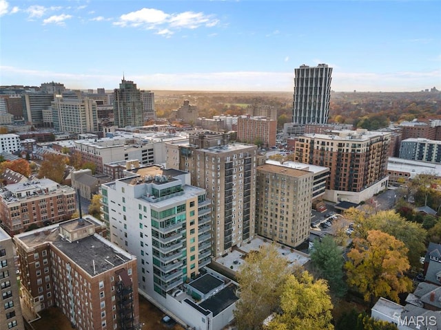 4545 Lindell Blvd Unit 3, Saint Louis, MO 63108 - city view