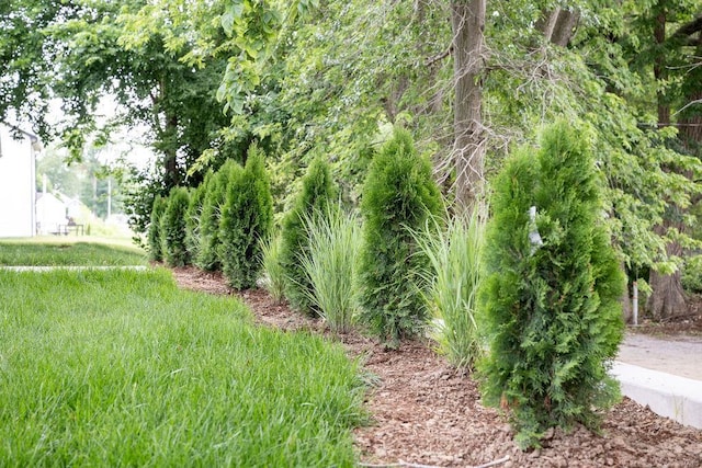 1461 Lexi Ln, Mascoutah, IL 62258 - view of yard