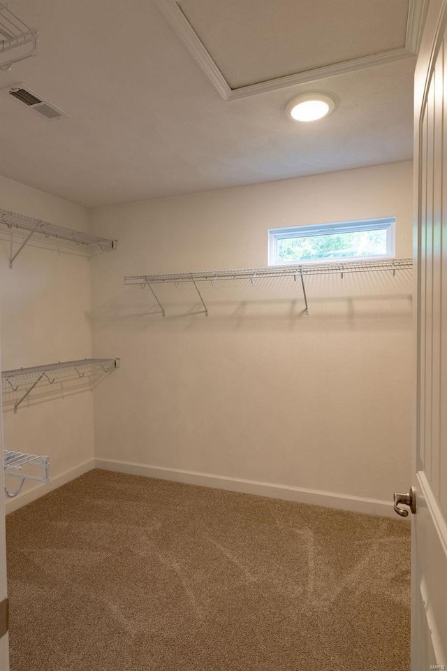 1461 Lexi Ln, Mascoutah, IL 62258 - walk in closet featuring carpet