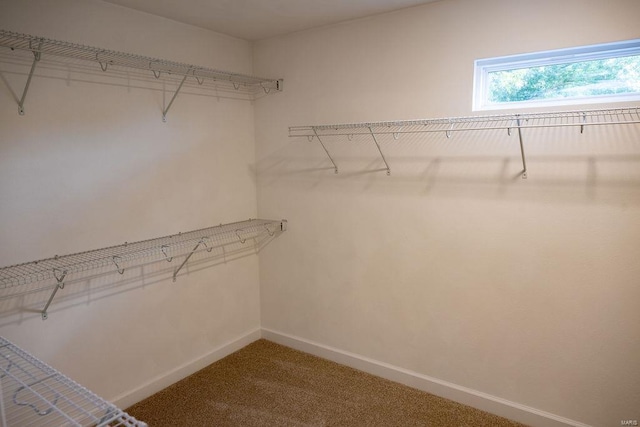 1461 Lexi Ln, Mascoutah, IL 62258 - spacious closet featuring carpet floors