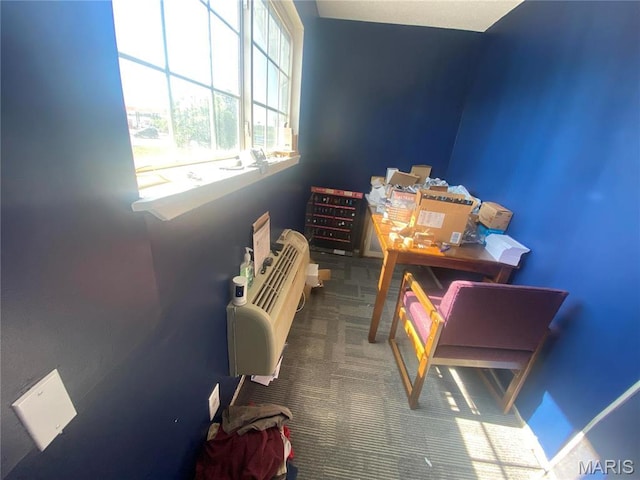 1 Proactive Dr, New Florence, MO 63363 - misc room featuring carpet