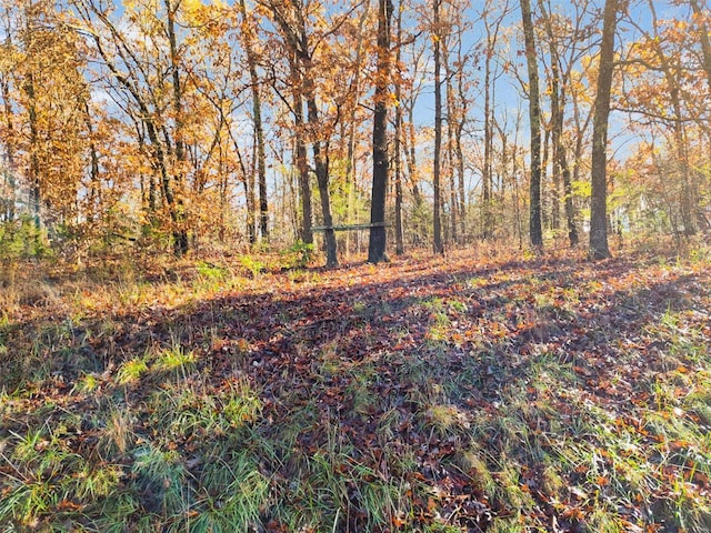 2129 Red Bud Dr, Bonne Terre, MO 63628 - view of local wilderness