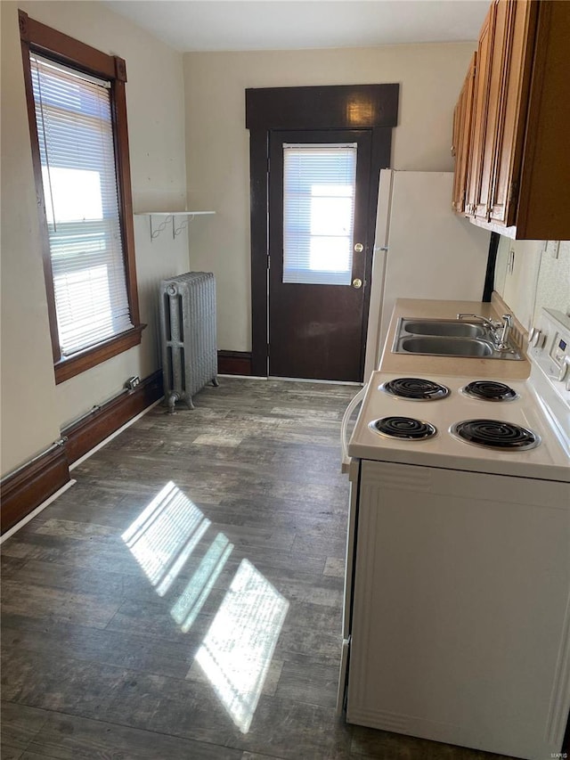 kitchen with radiator heating unit, white appliances, a sink, brown cabinets, and dark wood-type flooring