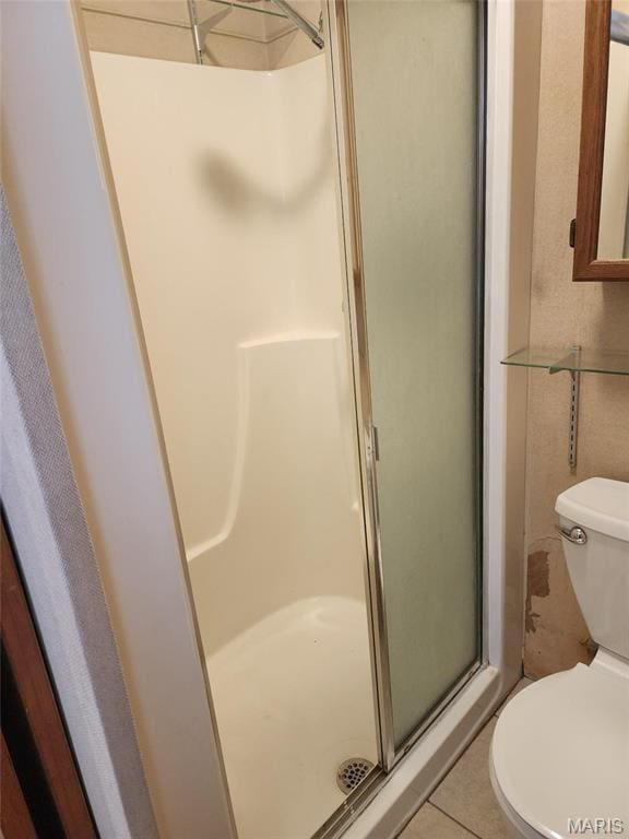 125 S 5th, Saint Charles, MO 63301 - bathroom with a stall shower, toilet, and tile patterned floors