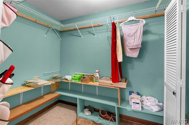 11 Schonhoff Cpe, Girardeau, MO 63703 - view of spacious closet