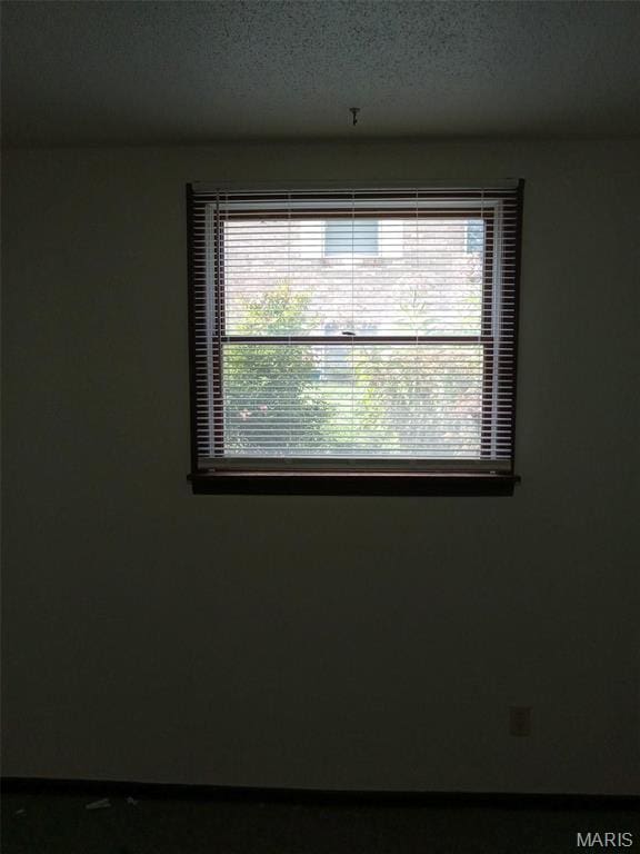 753 Rozier St, Saint Genevieve, MO 63670 - detailed view