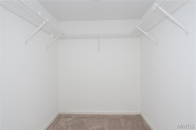 526 Sarah Ln Unit 35, Saint Louis, MO 63141 - spacious closet with light colored carpet