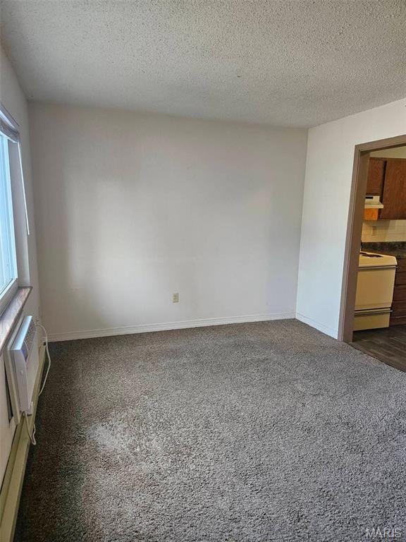 101 Swan Dr, Park Hills, MO 63601 - photo 10