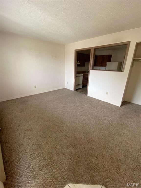 101 Swan Dr, Park Hills, MO 63601 - photo 11