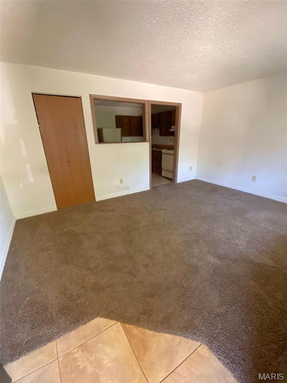 101 Swan Dr, Park Hills, MO 63601 - photo 12