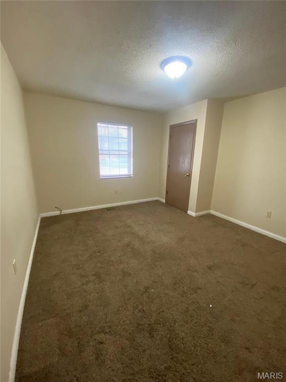 101 Swan Dr, Park Hills, MO 63601 - photo 36