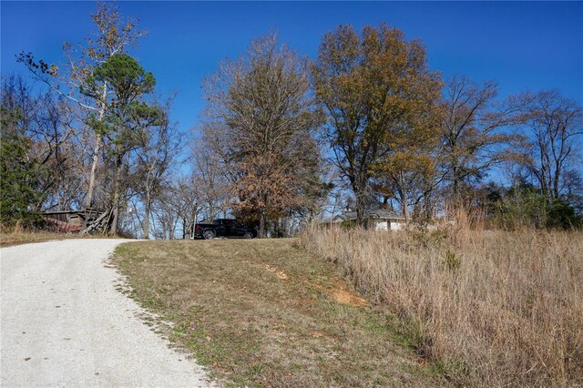 view of dirt / gravel road