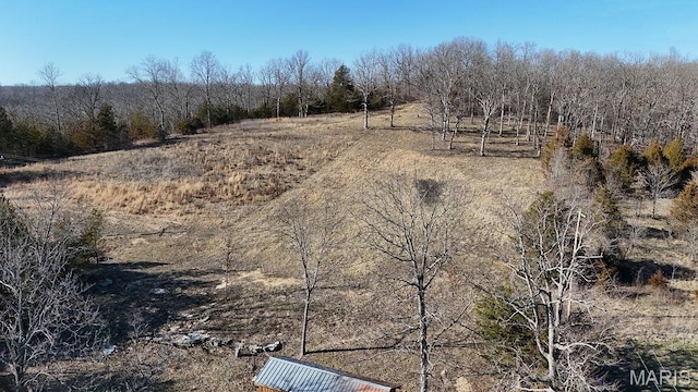 9454 Little Indian Creek Rd, Lonedell, MO 63060 - view of woods featuring a view of rural / pastoral area