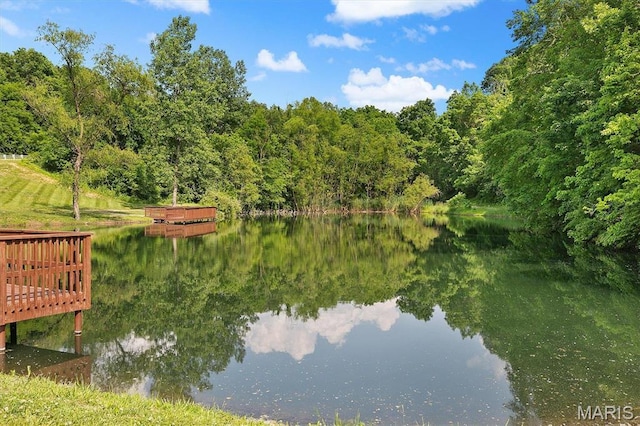955 Half Moon Ln, Caseyville, IL 62232 - water view with a forest