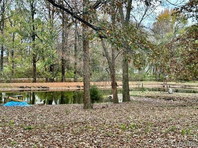201 County Highway 331, Benton, MO 63736 - view of yard featuring a water view
