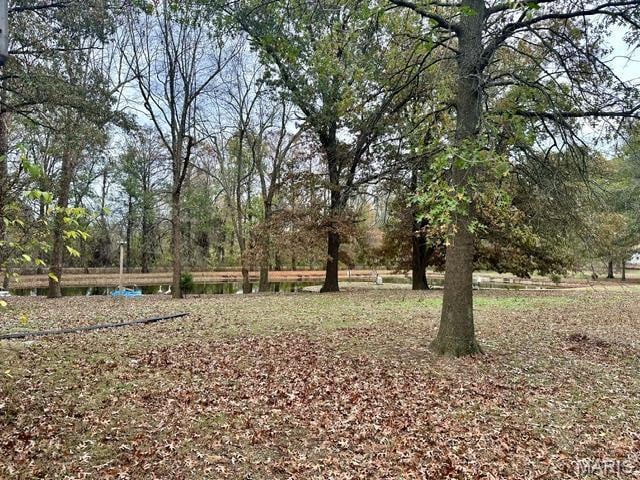 201 County Highway 331, Benton, MO 63736 - view of yard