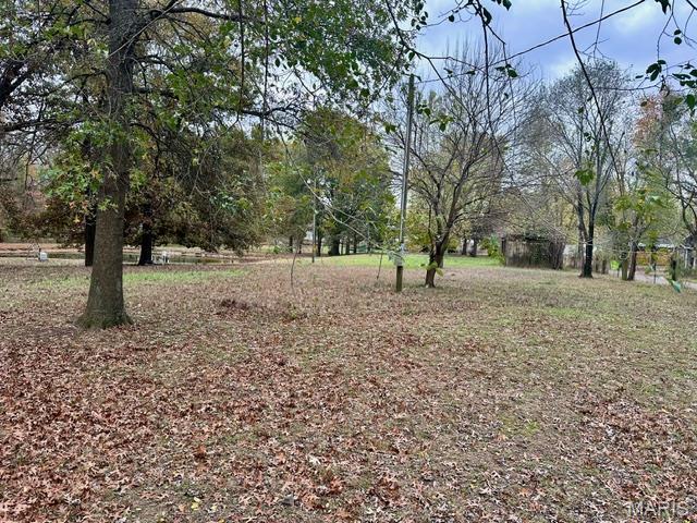 201 County Highway 331, Benton, MO 63736 - view of yard