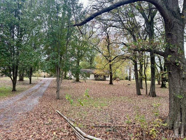 201 County Highway 331, Benton, MO 63736 - view of community