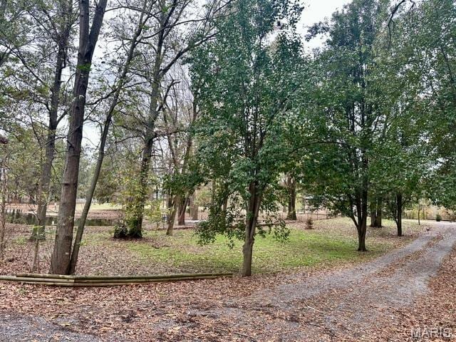201 County Highway 331, Benton, MO 63736 - view of local wilderness