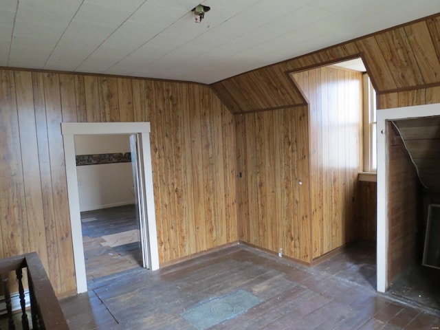 204 E Wayne St, Ironton, MO 63650 - additional living space with wooden walls and wood-type flooring