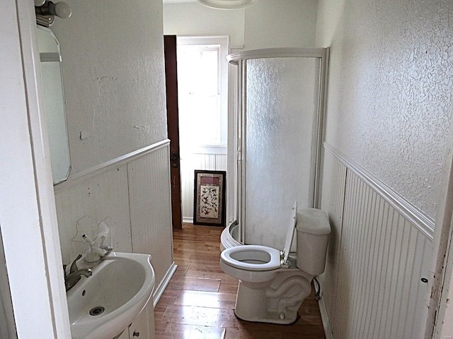 204 E Wayne St, Ironton, MO 63650 - bathroom featuring wood finished floors, a shower stall, a wainscoted wall, a sink, and toilet