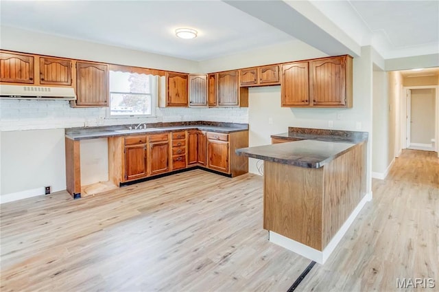 23388 Glenda Ave, Jerseyville, IL 62052 - kitchen featuring under cabinet range hood, brown cabinets, light wood finished floors, and dark countertops