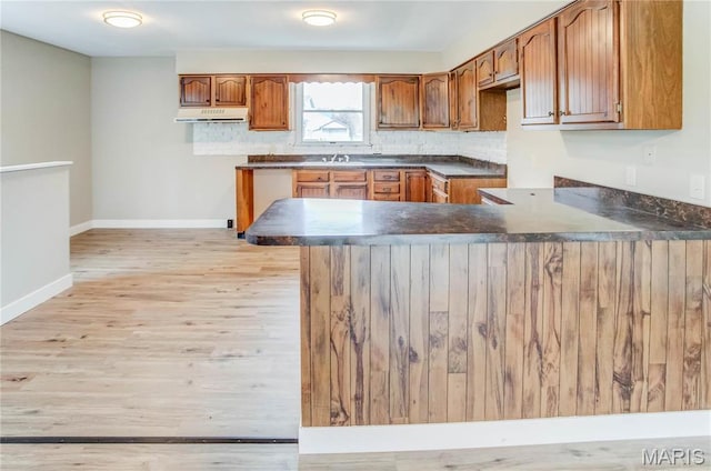23388 Glenda Ave, Jerseyville, IL 62052 - kitchen with under cabinet range hood, brown cabinets, a peninsula, light wood-type flooring, and tasteful backsplash