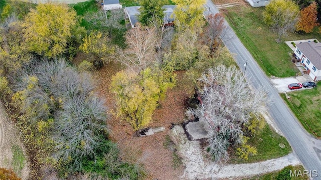 23388 Glenda Ave, Jerseyville, IL 62052 - bird's eye view