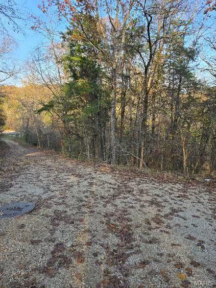 1 Fox Ln, Branson, MO 65740