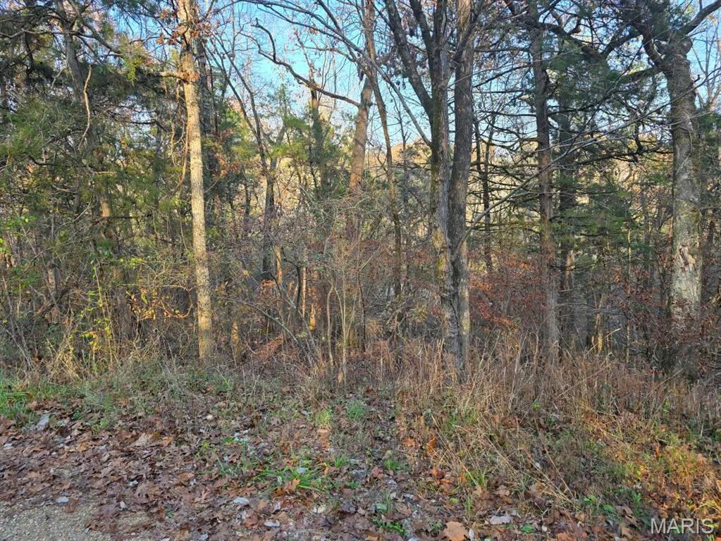 1 Fox Ln, Branson, MO 65740