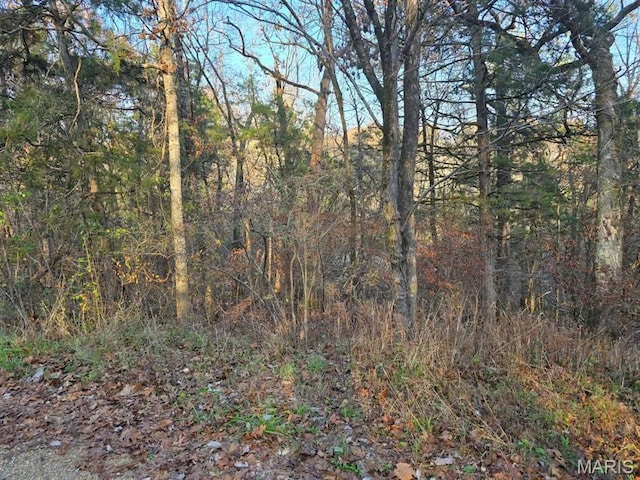 1 Fox Ln, Branson, MO 65740
