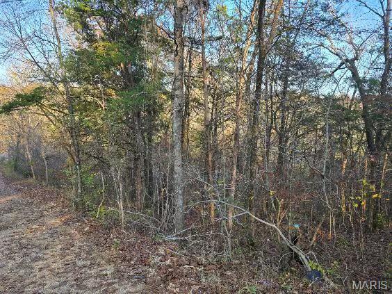 1 Fox Ln, Branson, MO 65740