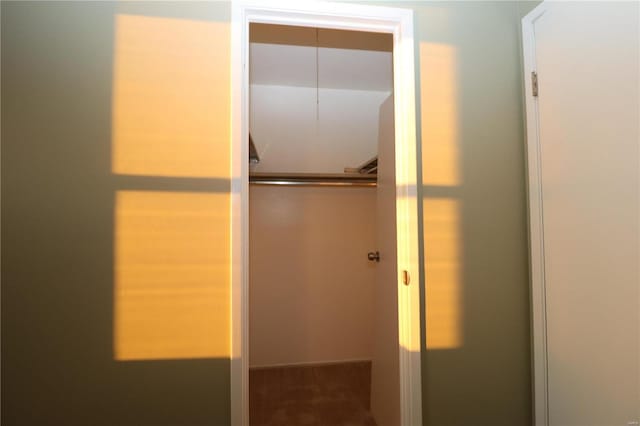 1049 Lafayette Unit D, Collinsville, IL 62234 - view of closet