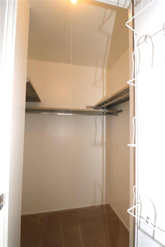 1049 Lafayette Unit D, Collinsville, IL 62234 - walk in closet featuring carpet