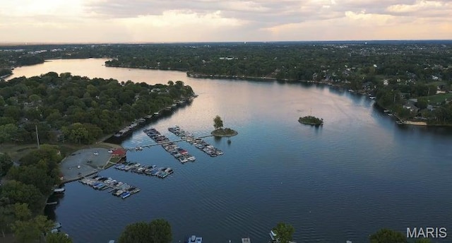bird's eye view of a large body of water and a heavily wooded area