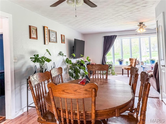 121 Douglas Dr, Pleasant Hill, IL 62366 - dining space featuring ceiling fan, light wood-style floors, and a textured ceiling