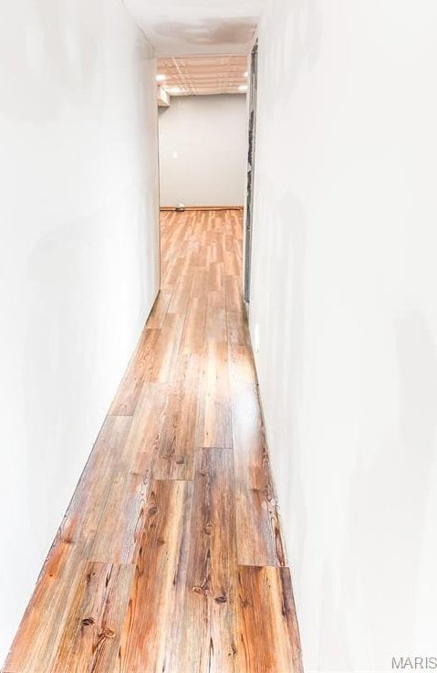 121 Douglas Dr, Pleasant Hill, IL 62366 - corridor featuring light wood finished floors
