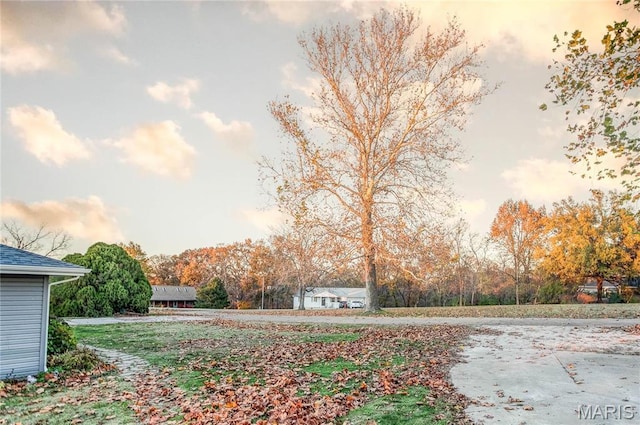121 Douglas Dr, Pleasant Hill, IL 62366 - view of road featuring view of wooded area
