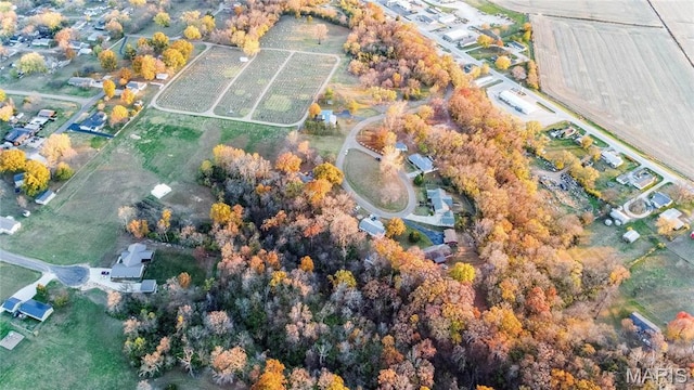 121 Douglas Dr, Pleasant Hill, IL 62366 - aerial view of property and surrounding area