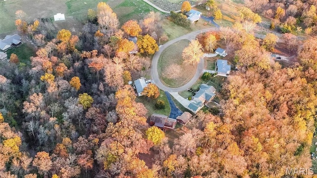 121 Douglas Dr, Pleasant Hill, IL 62366 - bird's eye view