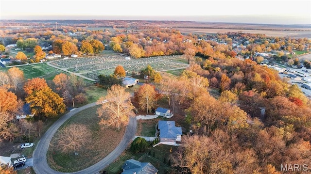 121 Douglas Dr, Pleasant Hill, IL 62366 - view of property location