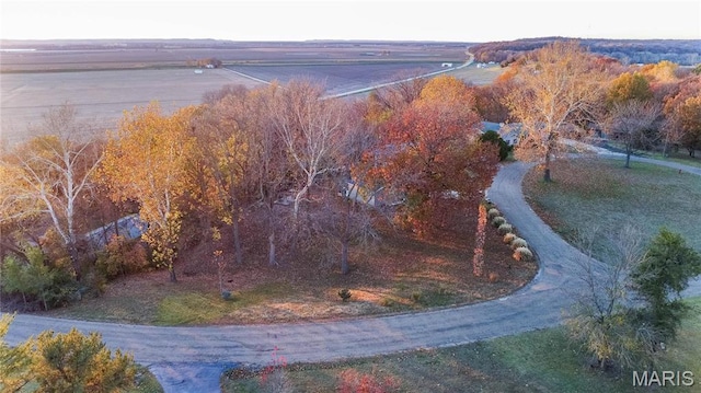 121 Douglas Dr, Pleasant Hill, IL 62366 - aerial view