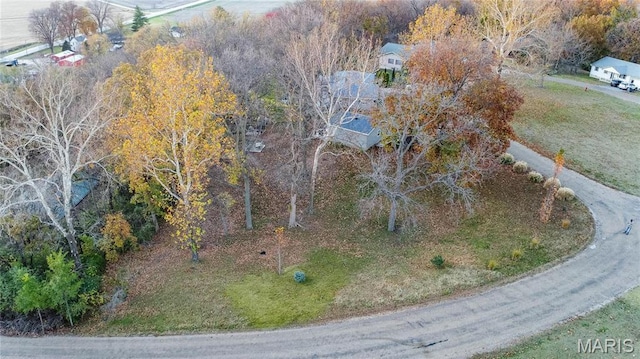 121 Douglas Dr, Pleasant Hill, IL 62366 - view from above of property