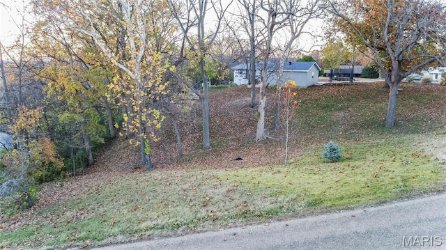 121 Douglas Dr, Pleasant Hill, IL 62366 - view of yard