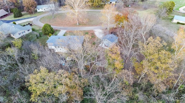 121 Douglas Dr, Pleasant Hill, IL 62366 - view of property location