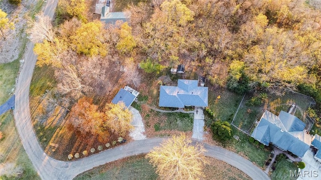 121 Douglas Dr, Pleasant Hill, IL 62366 - aerial view of property's location