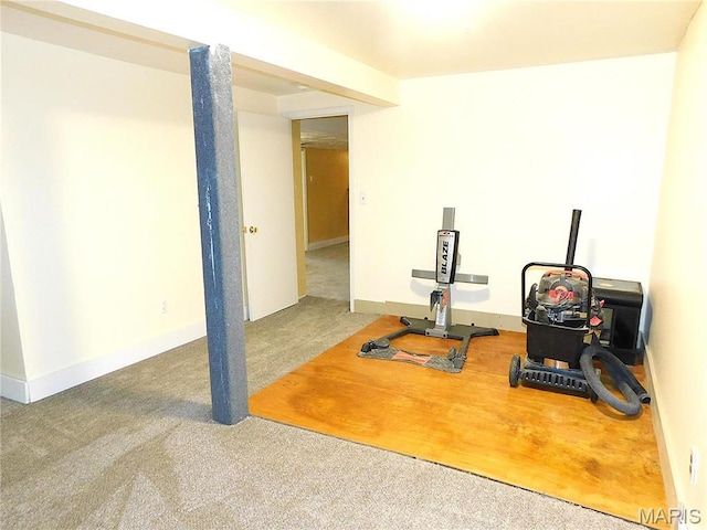 5 Sherwood Meadows Cir, Marthasville, MO 63357 - exercise room with carpet flooring and baseboards