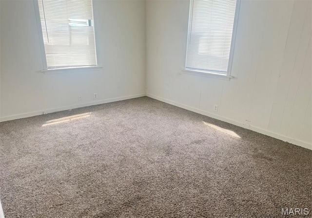 206 Chance St, Kennett, MO 63857 - photo 19