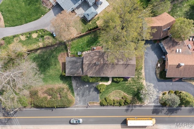 bird's eye view