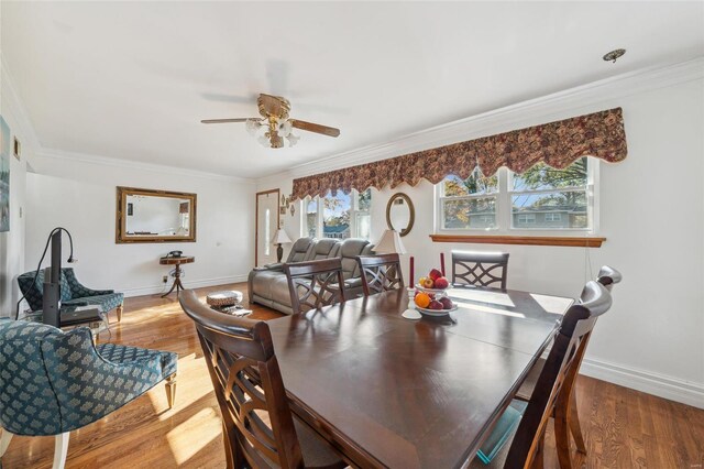 231 Freeman Dr, Saint Louis, MO 63129 - photo 9
